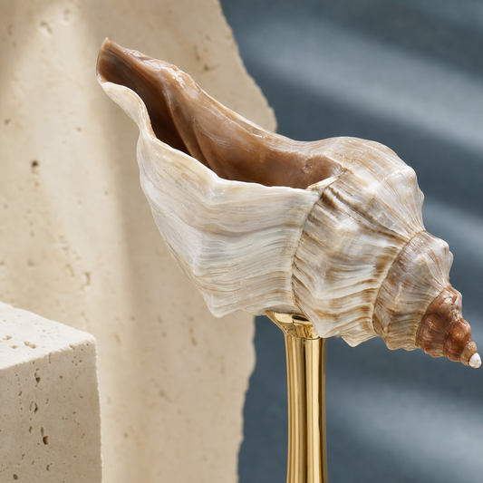 IN Chaos Natural Conch Seashell Goblet