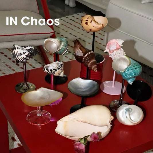 IN Chaos natural seashell goblet collection arranged on a red table