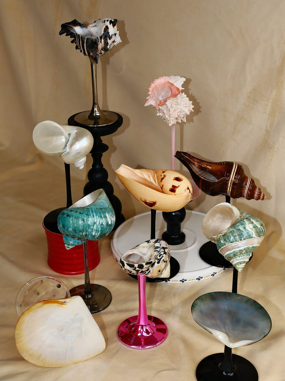 IN Chaos natural seashell goblet with sculptural stem gallery view