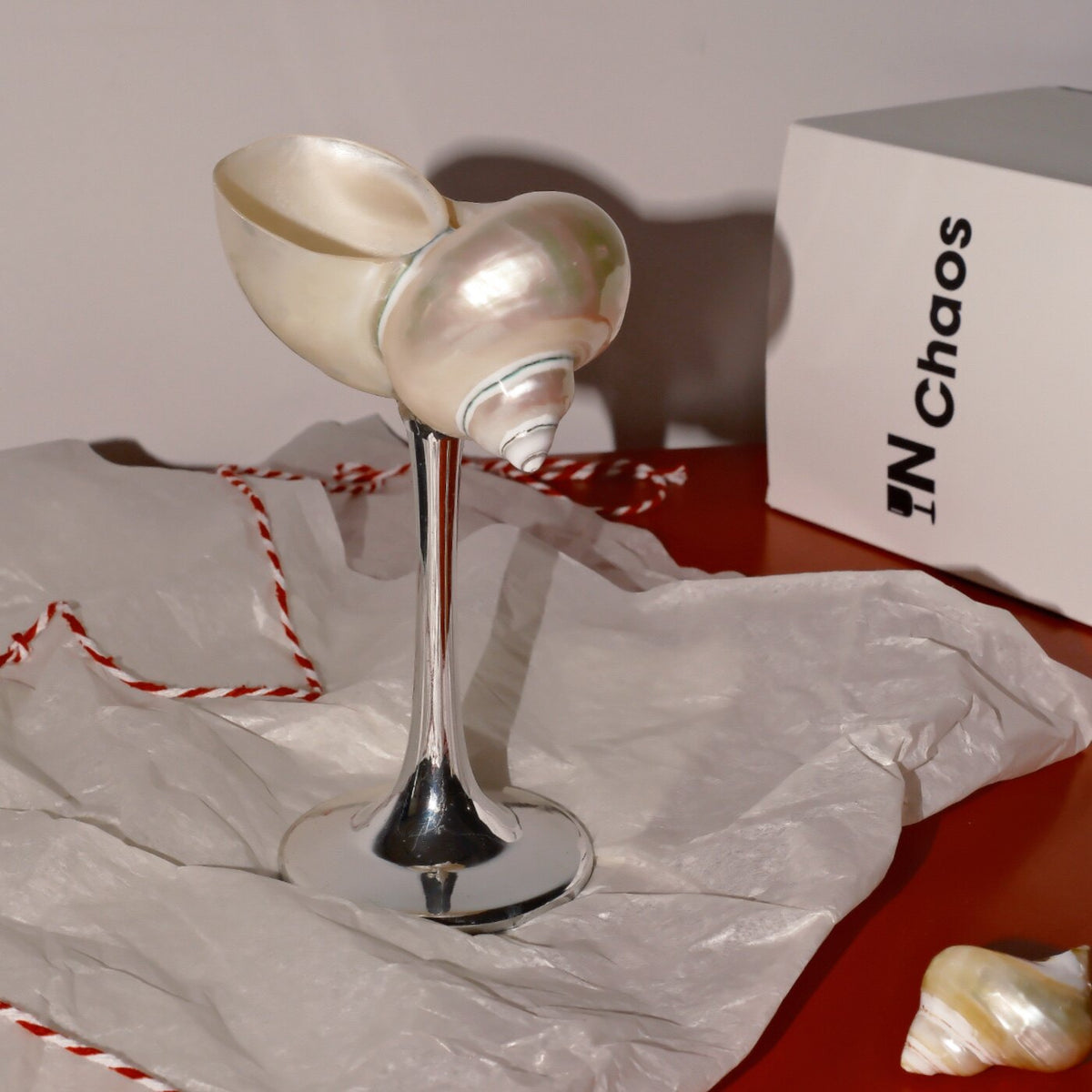 Sculptural natural seashell goblet detail by IN Chaos