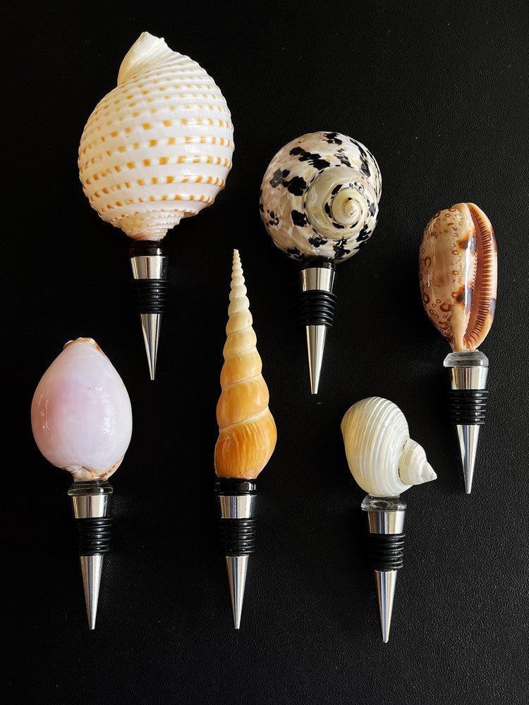 Seven SoftServe natural seashell wine stopper styles on a black background