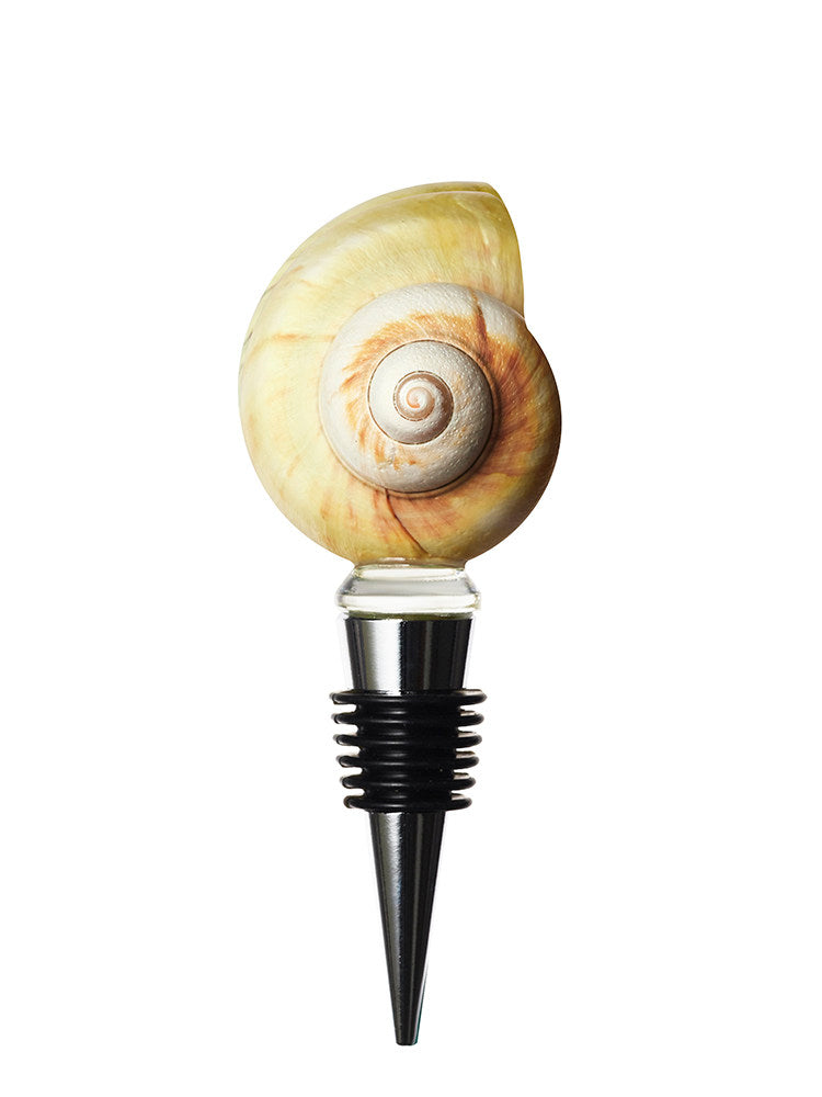 Cream spiral seashell wine stopper on a white background
