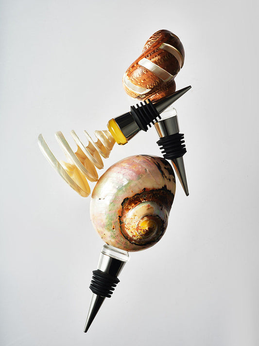 Three natural seashell wine stopper styles arranged on a white background