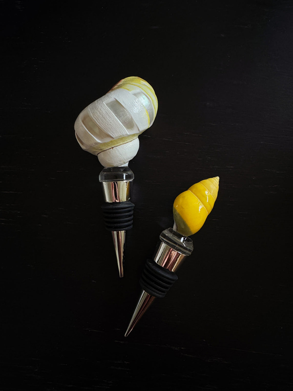Two cream and yellow shell wine stoppers on a black background