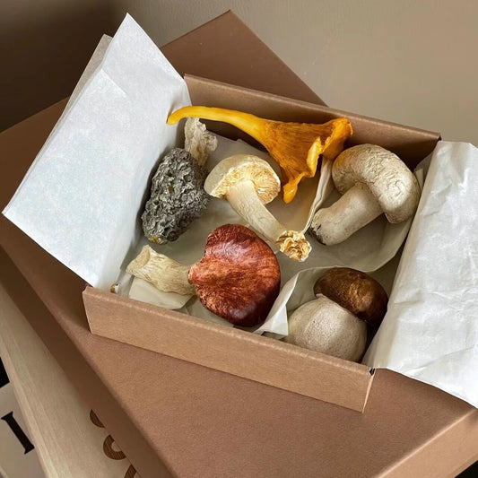 Gift box with six Shinymomo French-style mushroom cutlery rests