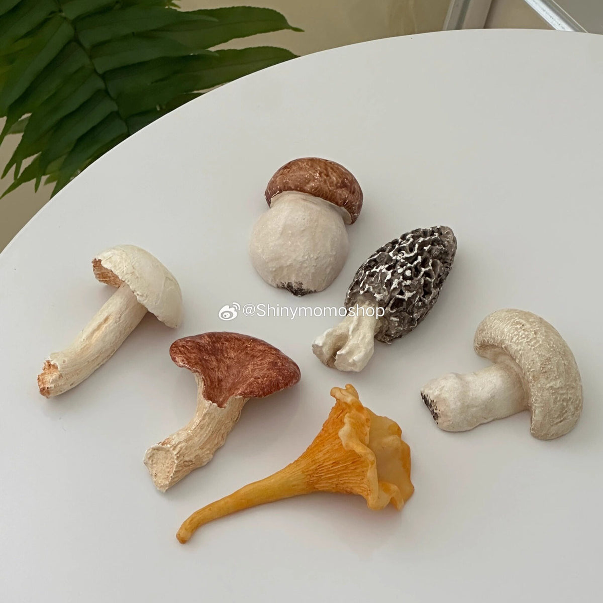 Pink gift box presentation for six mushroom cutlery rests