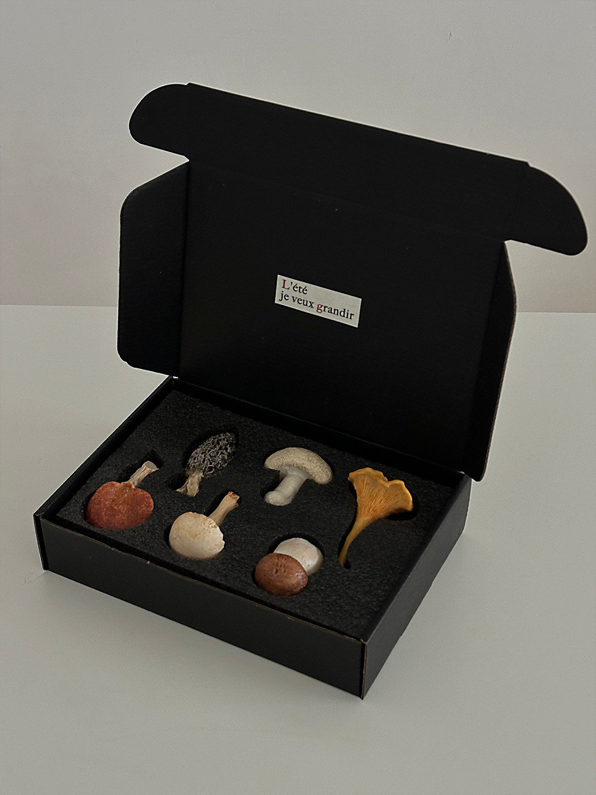 Shinymomo French-style mushroom cutlery rests gift set packaging