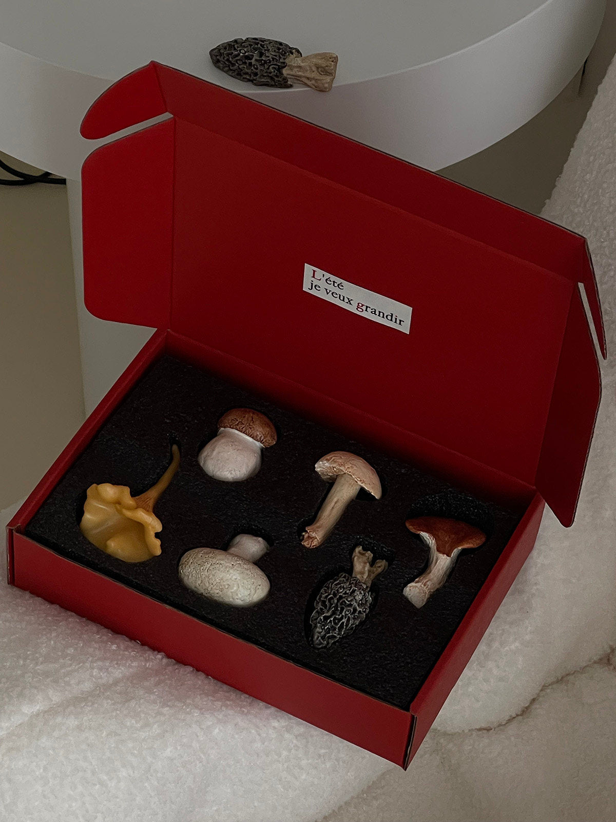 Six mushroom cutlery rests arranged in a presentation box