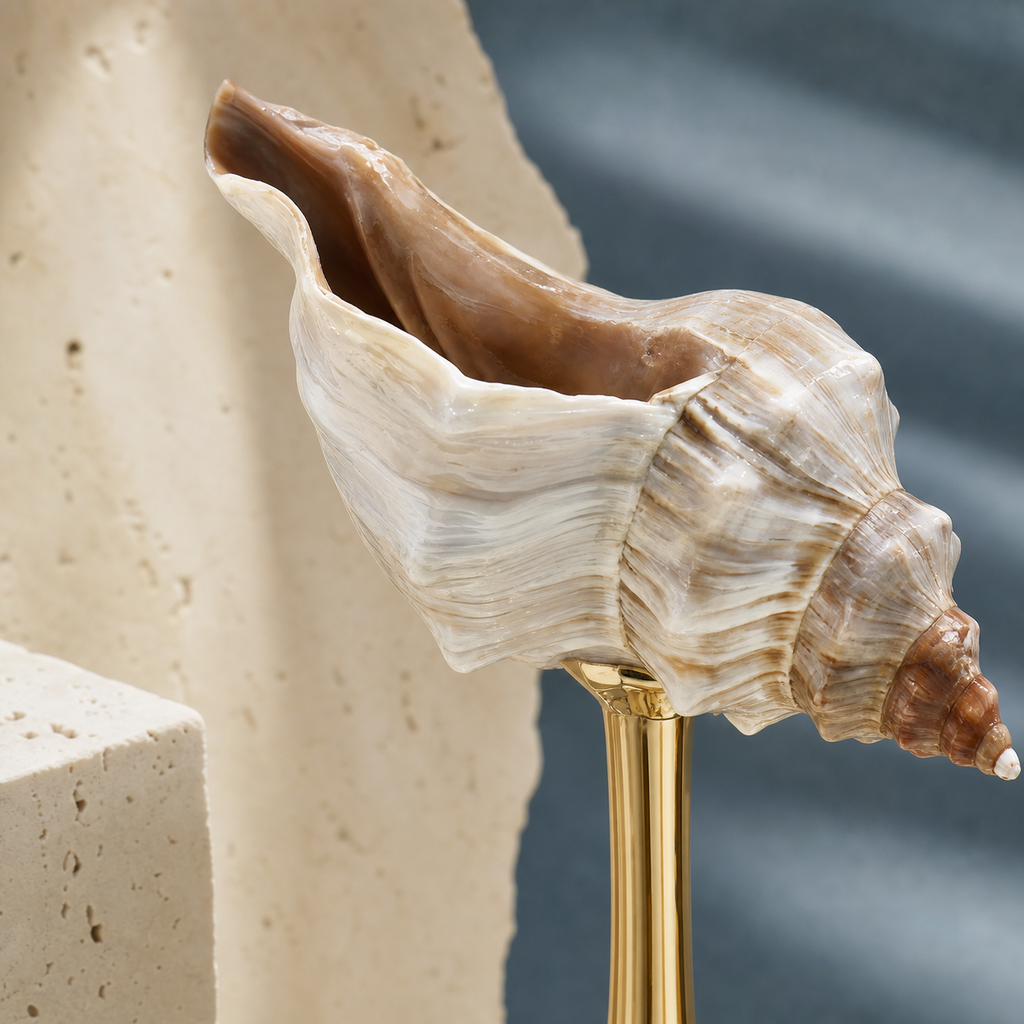 IN Chaos Natural Conch Seashell Goblet