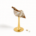 IN Chaos Natural Conch Seashell Goblet