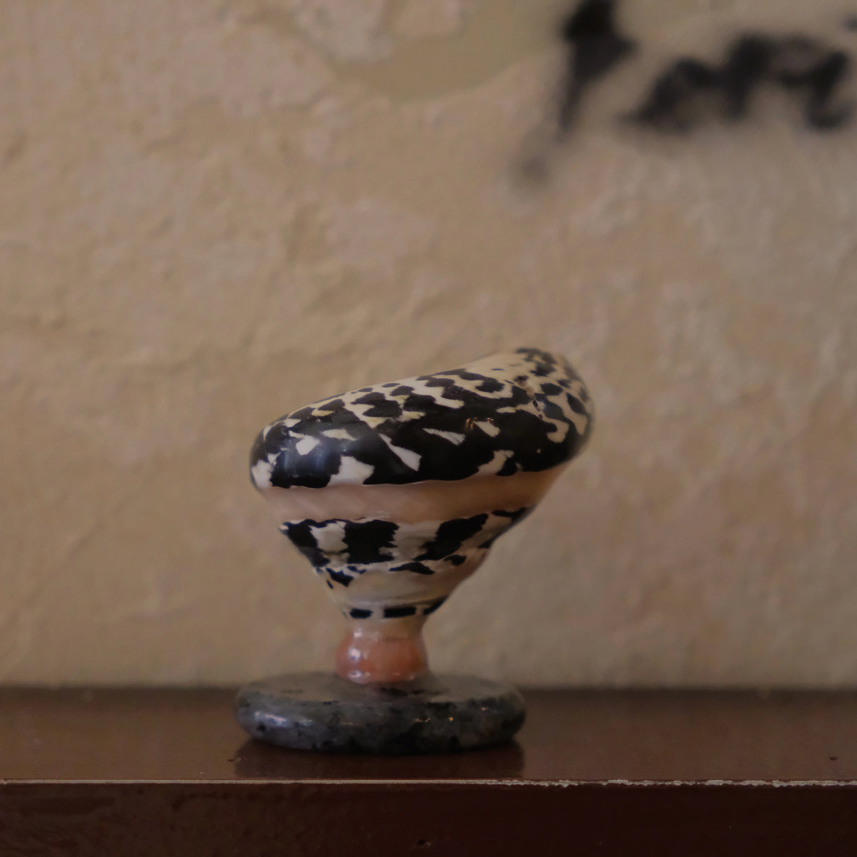 Striped Murex / Black Snowflake Jade natural conch and jade incense holder