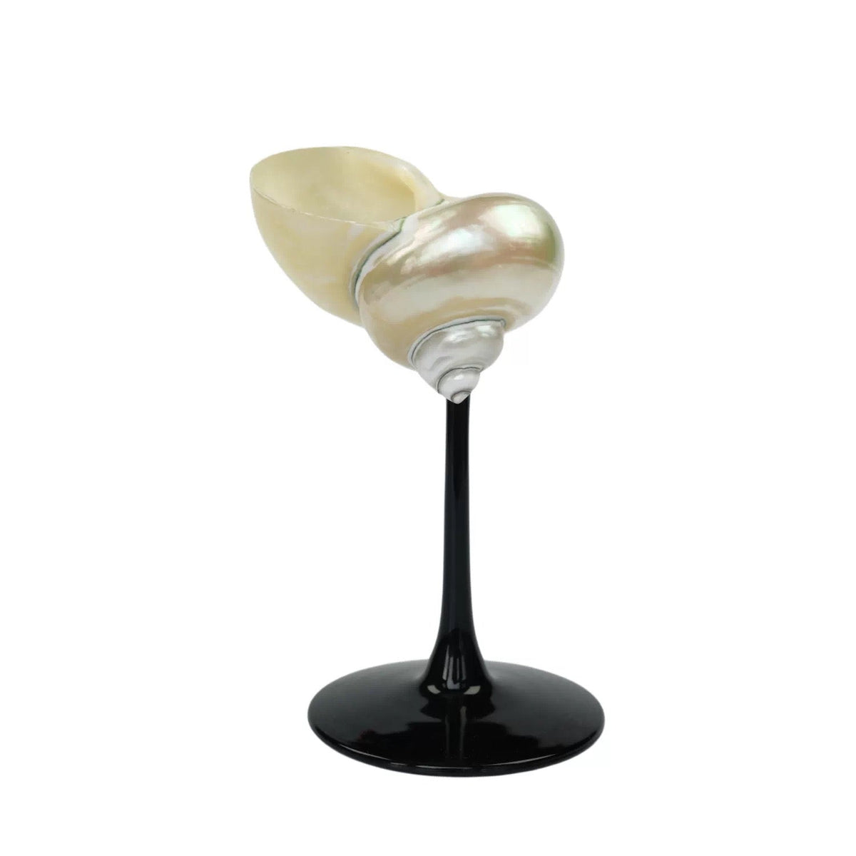 IN Chaos Pearl White Shell / Black Stem natural seashell goblet