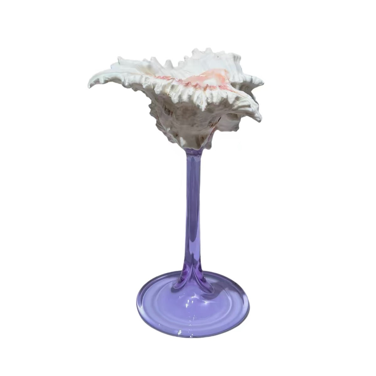 IN Chaos Spider Conch / Violet Stem natural seashell goblet