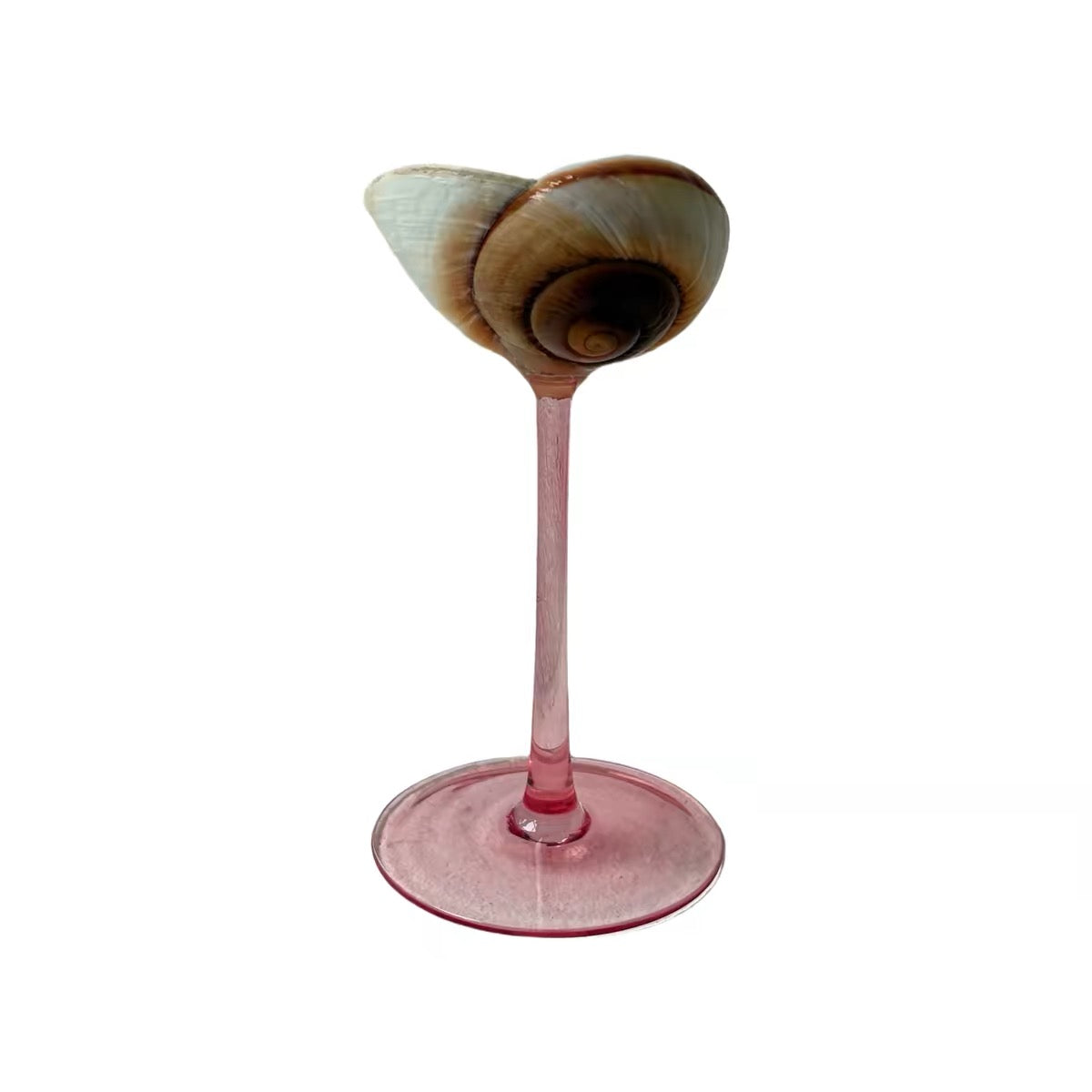 IN Chaos Warm Spiral Shell / Burgundy Stem natural seashell goblet